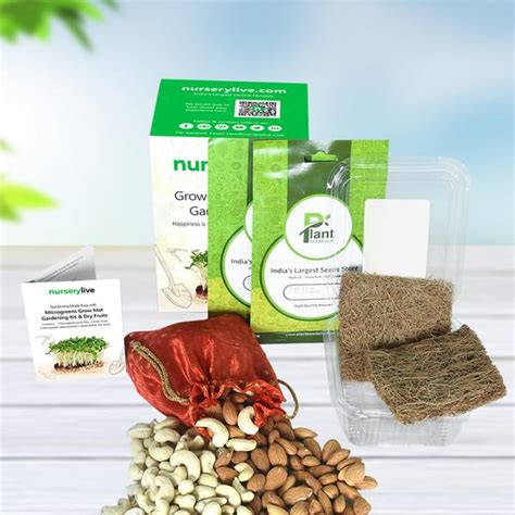Buy Gardening Made Easy with Microgreens Grow Mat Gardening Kit and Dry ...