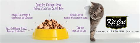 Kit Cat Dry Cat Food Pick of The Ocean for Adult (1+ Years) 1.2 kg ...