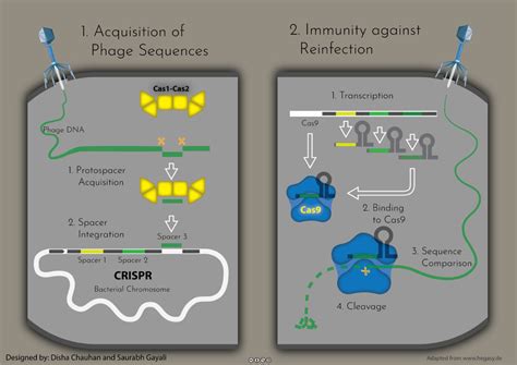 The Wire: The Wire News India, Latest News,News from India, Politics ...