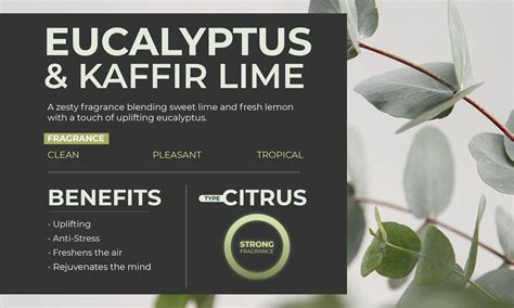 Buy Air Freshner online - Eucalyptus & Kaffir Lime – Rosemoore
