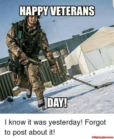 30 Veterans Day Memes - DailyFunnyQuote