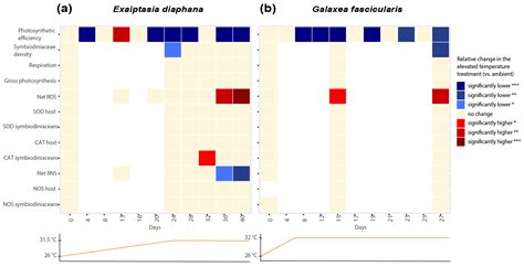 Comparing the Role of ROS and RNS in the Thermal Stress Response of Two ...