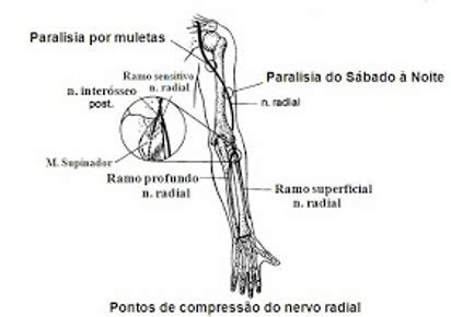 Image result for Alien Meme Brain Rot