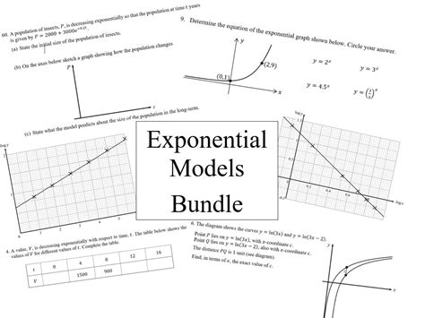 Exponential Model 的图像结果