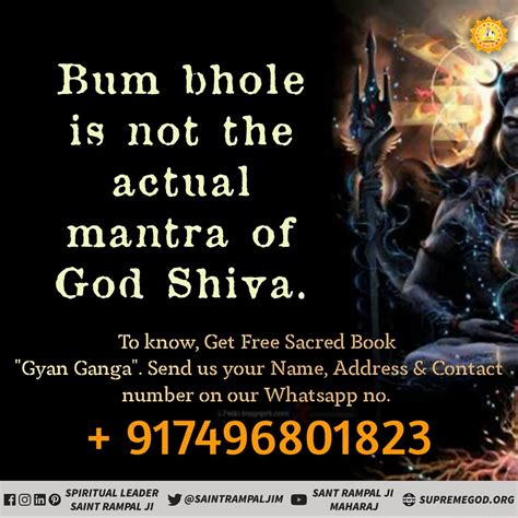 Bum Meaning Dictionary