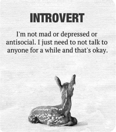 Image result for Introvert Benefit
