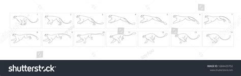 Image result for Tiger Run Cycle Animation