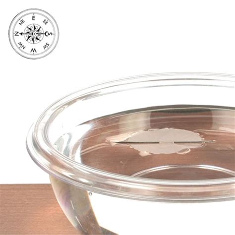 Image result for Compass Science Experiment