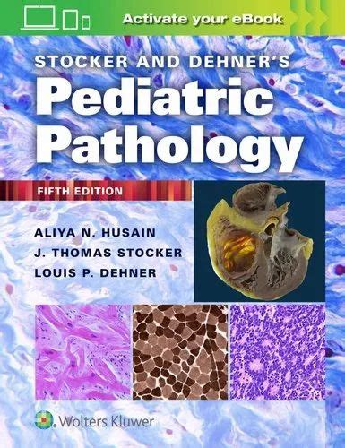 Medical Book - Pathology - Gnepp's Diagnostic Surgical Pathology of the ...