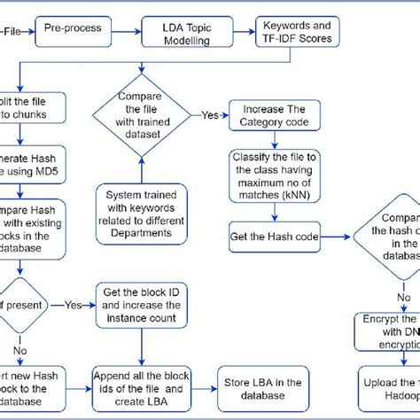 Process System 的图像结果