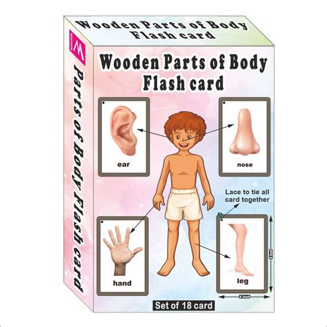 Wooden (MDF) Parts of Body Learning Flash card with lacing thread ...