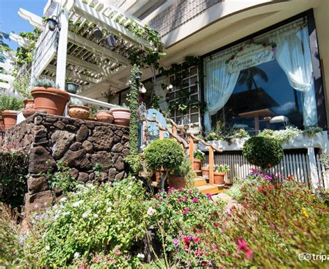 Hotel Denying Bed Bug Problem Despite Later Confirmation from my ...