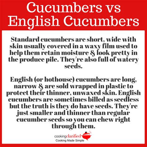 Cucumbers vs English Cucumbers | Cucumber & Tomato Salad with Red ...