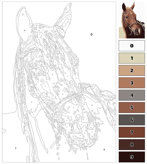 Adult and Advanced Color By Number Printable