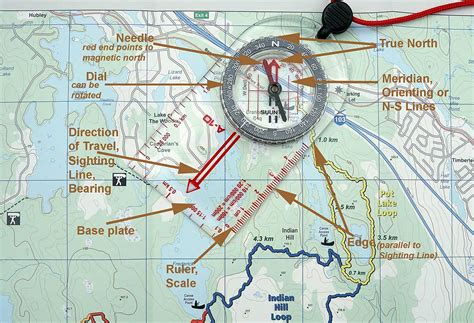 Image result for Basic Map Compass