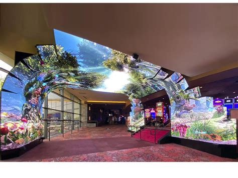 LED Screen Display 的图像结果