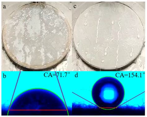 Synthesis and Performance Analysis of Green Water and Oil-Repellent ...