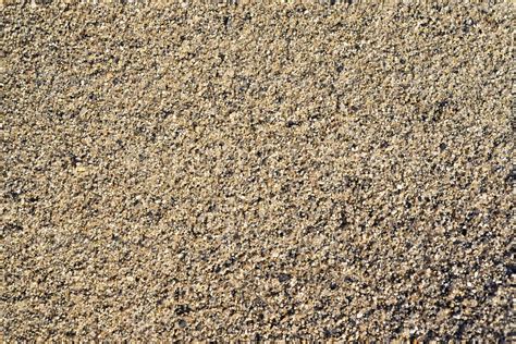The river sand is coarse-grained. Small pebbles of river sand ...