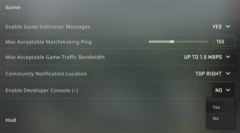 Image result for How to Turn On Developer Console CS GO