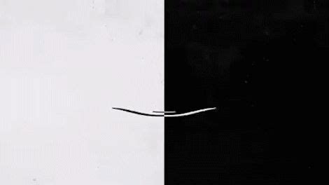 Image result for Graphics Morphing