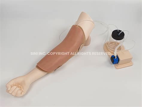 Image result for Injection Training Arm Model