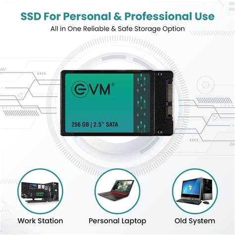 EVM sata 256 GB Desktop, All in One PC's, Laptop, Network Attached ...