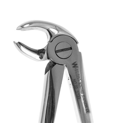 Waldent Tooth Extraction Forceps Lower Molars No.22 (1/122) – Waldent.com
