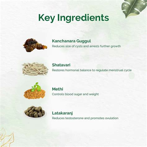 Buy DR. VAIDYA'S PCOS CARE - 30 CAPSULES - PACK OF 1 Online & Get Upto ...