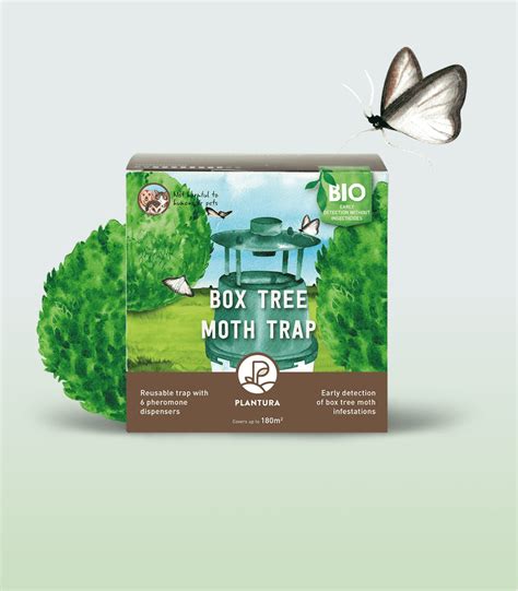 Image result for Box Tree Moth Control