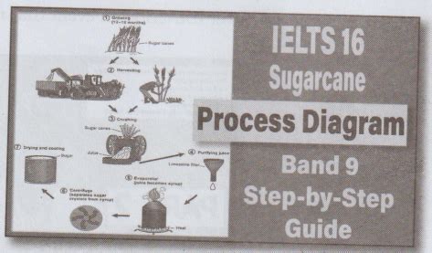 Listening to Process Description - Professional English