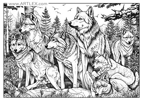 Wolf Colouring In Pages