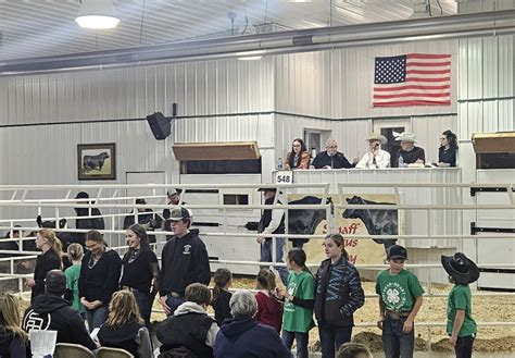 Schaff Angus Valley | TSLN.com