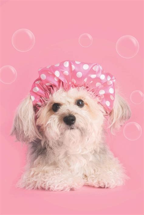 Buy Daily Tasks List, Habit Tracker, Affirmations : Record and track ...