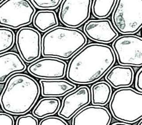 STRUCTURE OF COLLENCHYMA ? - Brainly.in