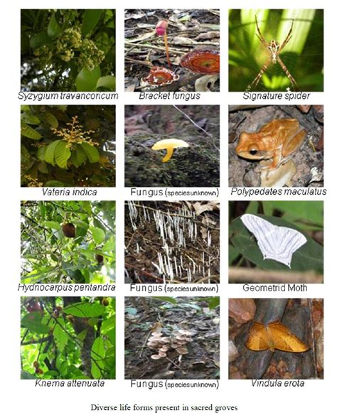 Untitled Document [wgbis.ces.iisc.ac.in]