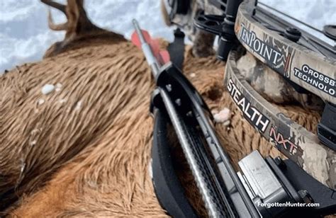 Image result for TenPoint Shadow NXT ACUdraw System