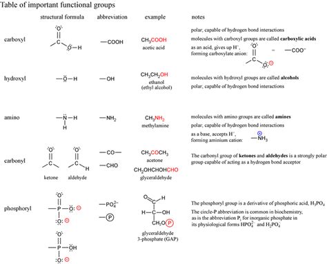 Image result for Macromolecules Functional Groups