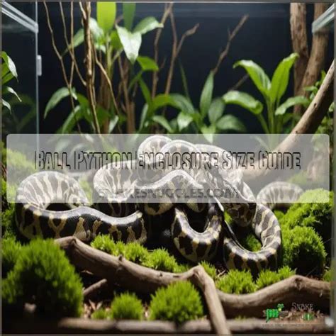 Image result for 15 Foot Python Enclosure
