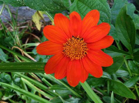 Landscape Message: September 21, 2018 : Center for Agriculture, Food ...