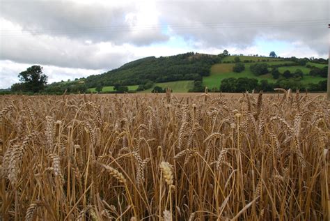 What Is Locally Source Material 的图像结果