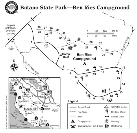 Butano State Park - Campsite Photos, Reservations & Campground Info