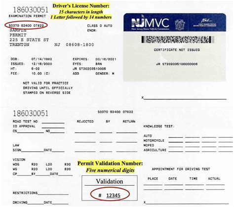 Image result for DMV CDL Appointment Scheduling