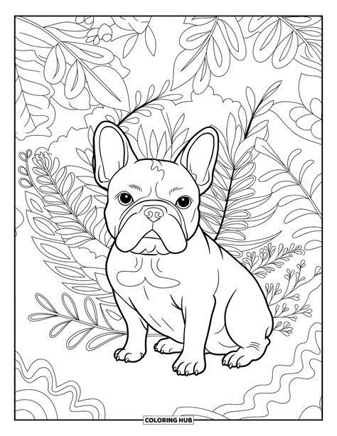 85+ French Bulldog Coloring Pages for Kids & Adults (Free Printable PDFs)