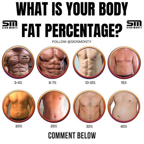 Body Fat Percentage You Can See Abs at Mary Aplin blog