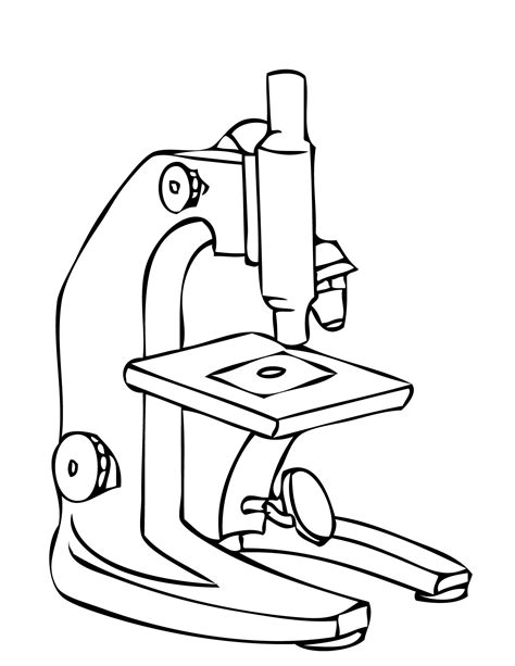 Compound Light Microscope Drawing at GetDrawings | Free download