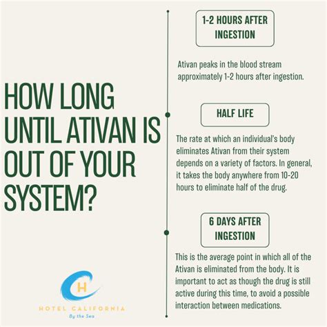 What Is The Half-life Of Ativan?