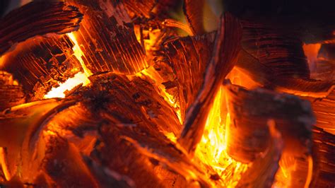 Image result for PureVision Log Burner Using