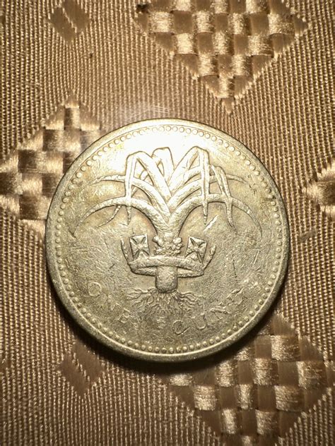 1985 D.G. REG F. D Queen Elizabeth II One Pound Coin- Rare | eBay