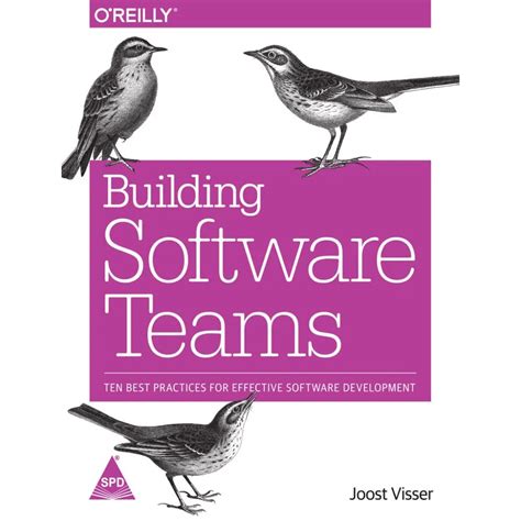 Building Software Teams '9789352135035