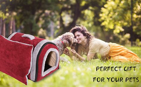 Fluffy's Luxurious 2-in-1 Foldable Pet House Ultra Soft Bed for Cat ...